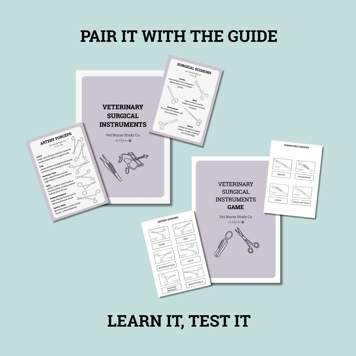 Veterinary Surgical Instruments Game 10 pages | Veterinary Nursing Revision | Instrument Identification Activity | Printable PDF