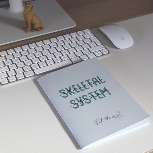 Skeletal System Guide
