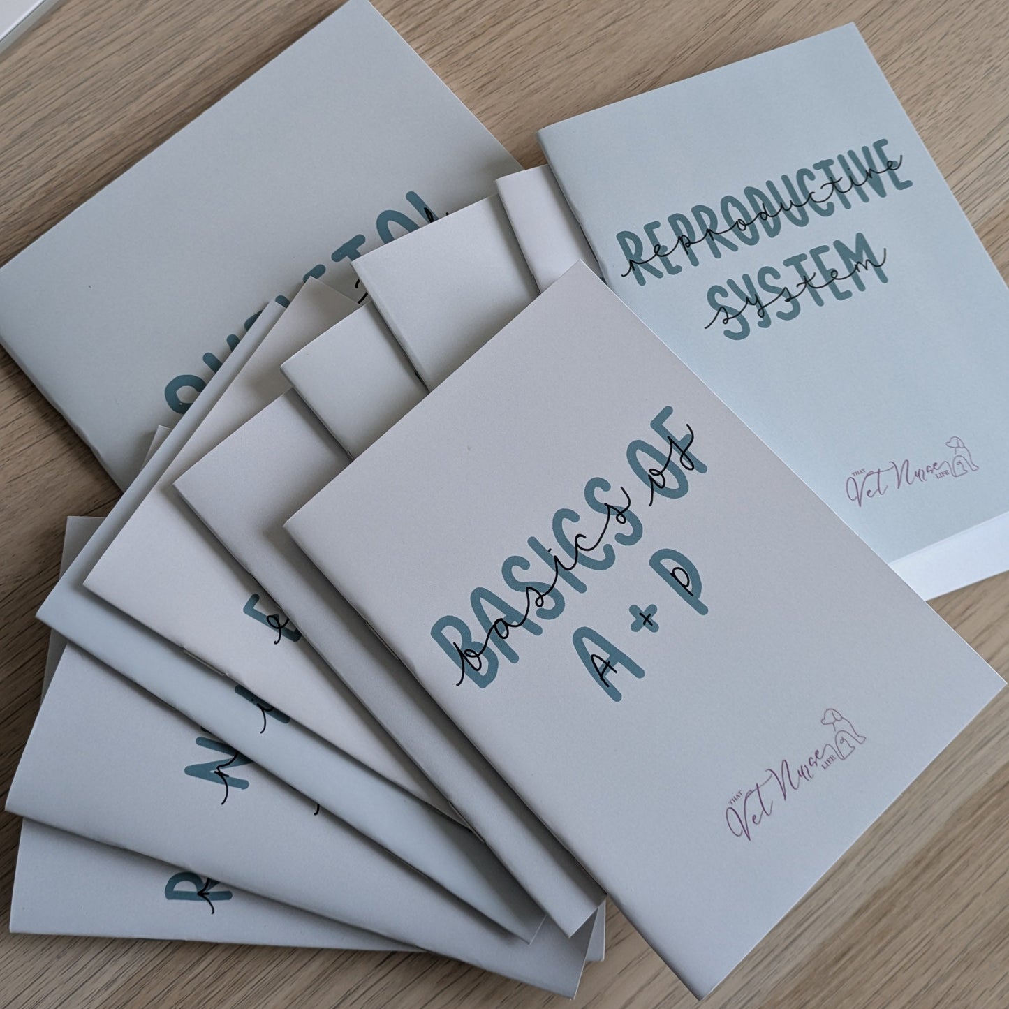 Anatomy + Physiology Systems Collection + Basics Bundle