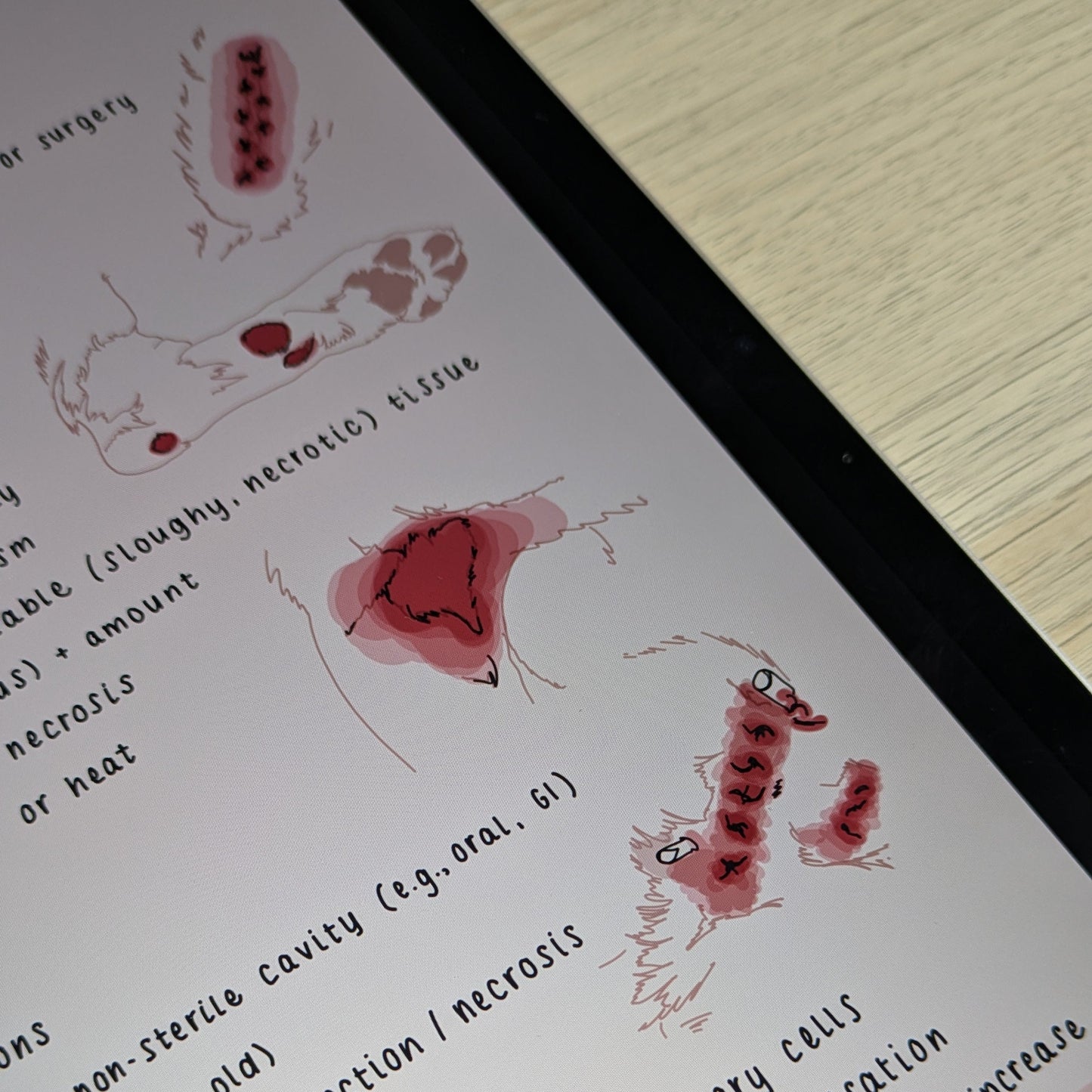 Nursing Care: Wound Assessment (Digital Download)