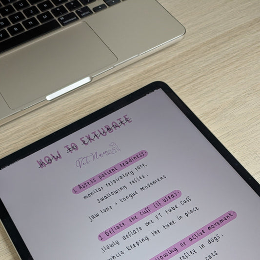 Anaesthesia: Extubation (Digital Download)