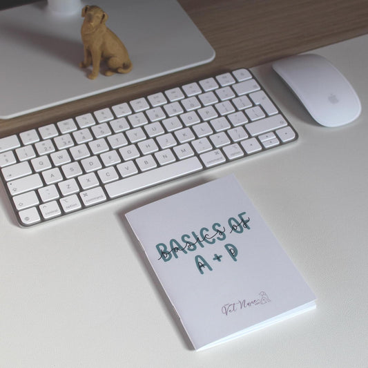 Basics of Anatomy Physiology Guide