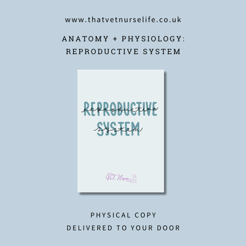 A+P Reproductive System Guide (Physical Copy)