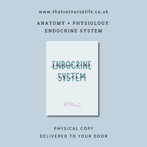 A+P: Endocrine System Guide (Physical Copy)