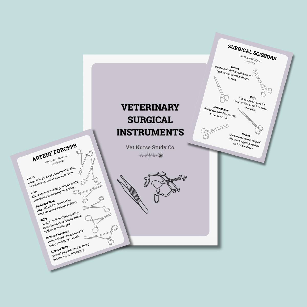 Veterinary Surgical Instruments Quick Reference Guide | Digital Download for Student + Registered Veterinary Nurses