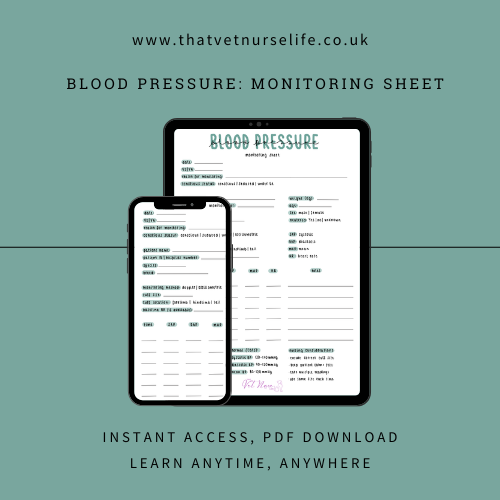 Nursing Care: Blood Pressure Monitoring Sheet (Digital Download)