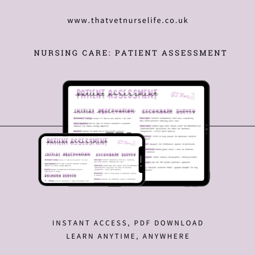 Nursing Care: Patient Assessment (Digital Download)