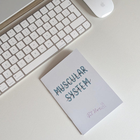 Muscular System Guide