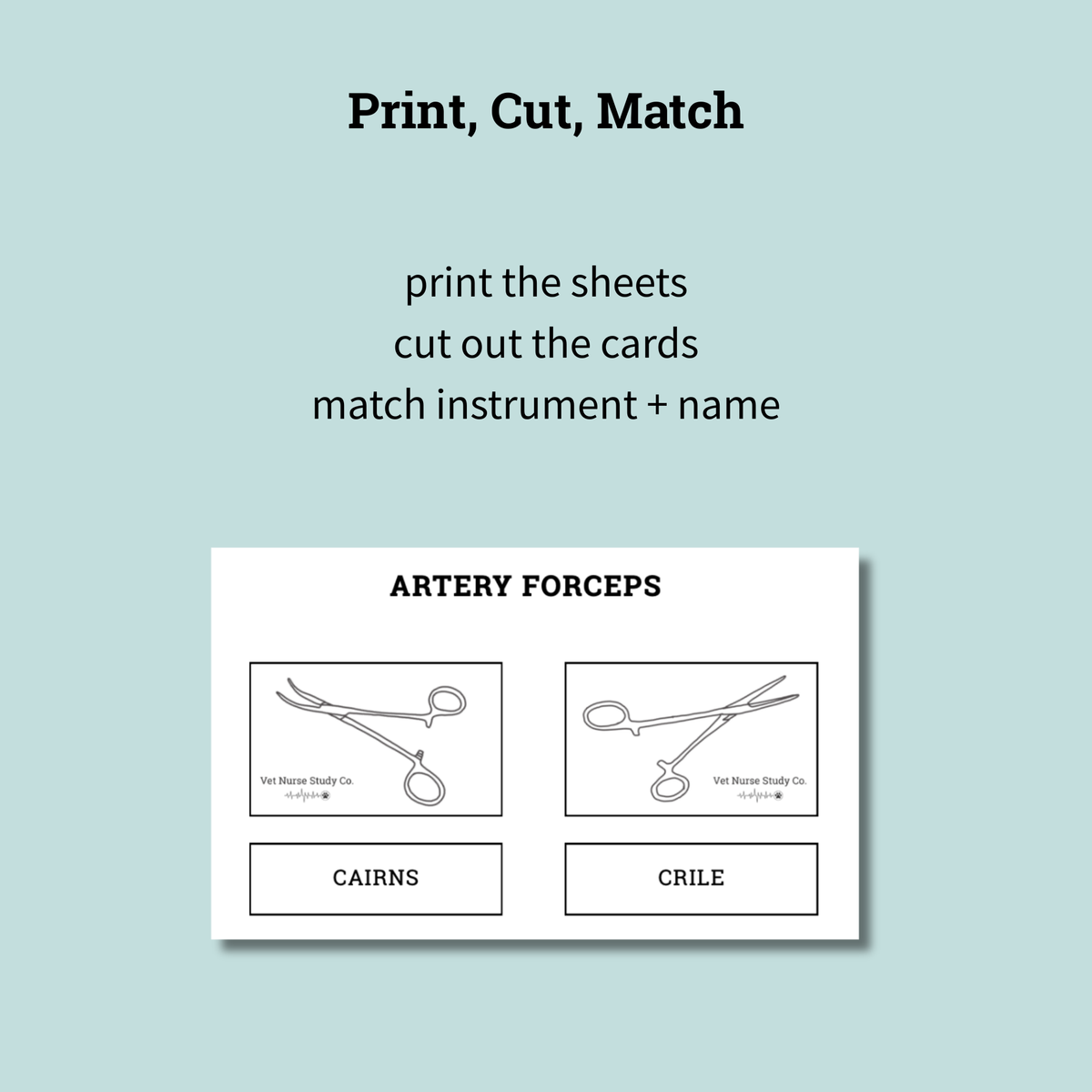 Veterinary Surgical Instruments Game 10 pages | Veterinary Nursing Revision | Instrument Identification Activity | Printable PDF