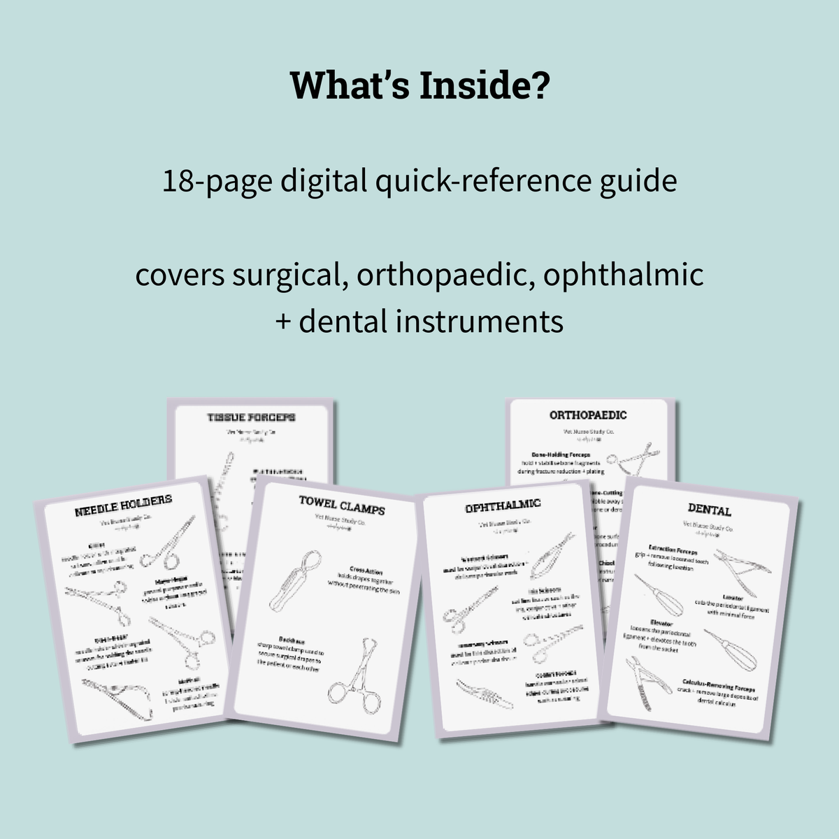 Veterinary Surgical Instruments Quick Reference Guide | Digital Download for Student + Registered Veterinary Nurses