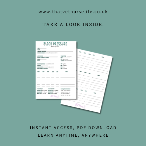Nursing Care: Blood Pressure Monitoring Sheet (Digital Download)