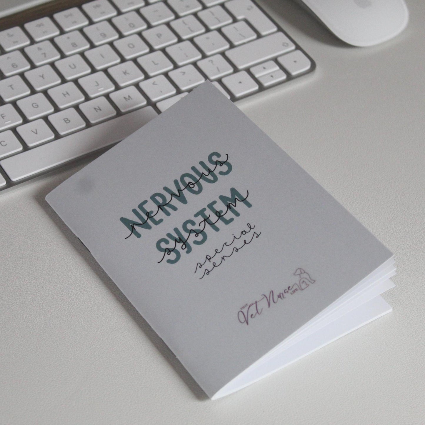 Nervous System + Special Senses Guide