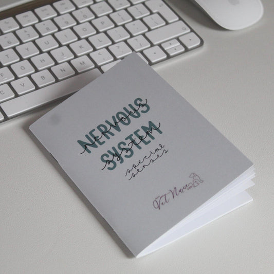 Nervous System + Special Senses Guide