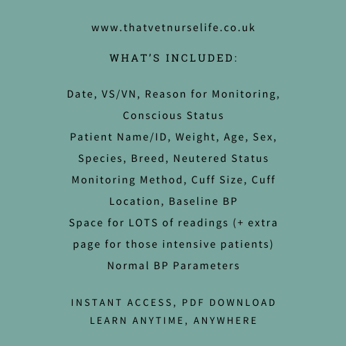 Nursing Care: Blood Pressure Monitoring Sheet (Digital Download)