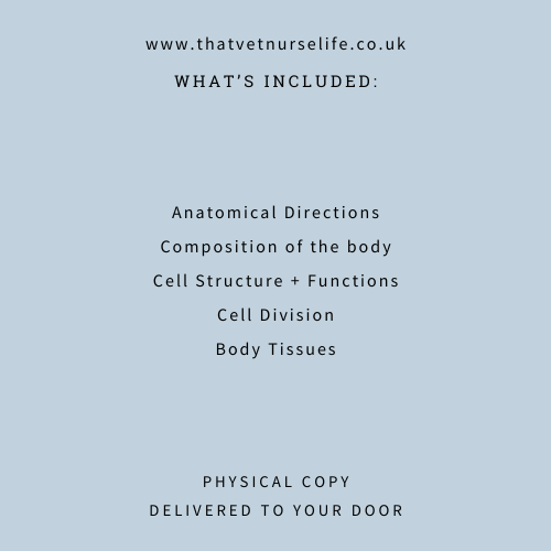 Basics of Anatomy Physiology Guide