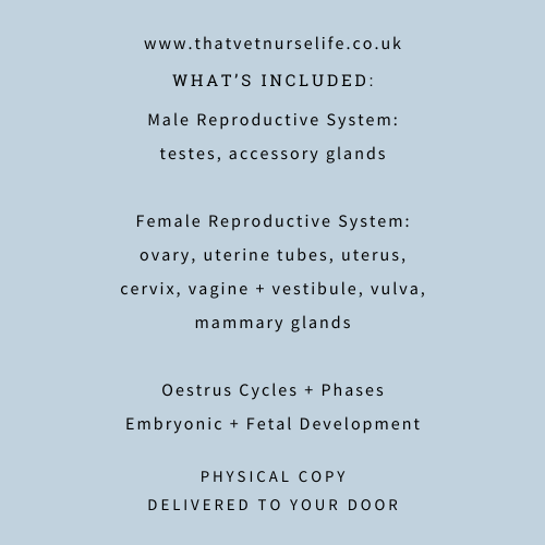 A+P Reproductive System Guide (Physical Copy)