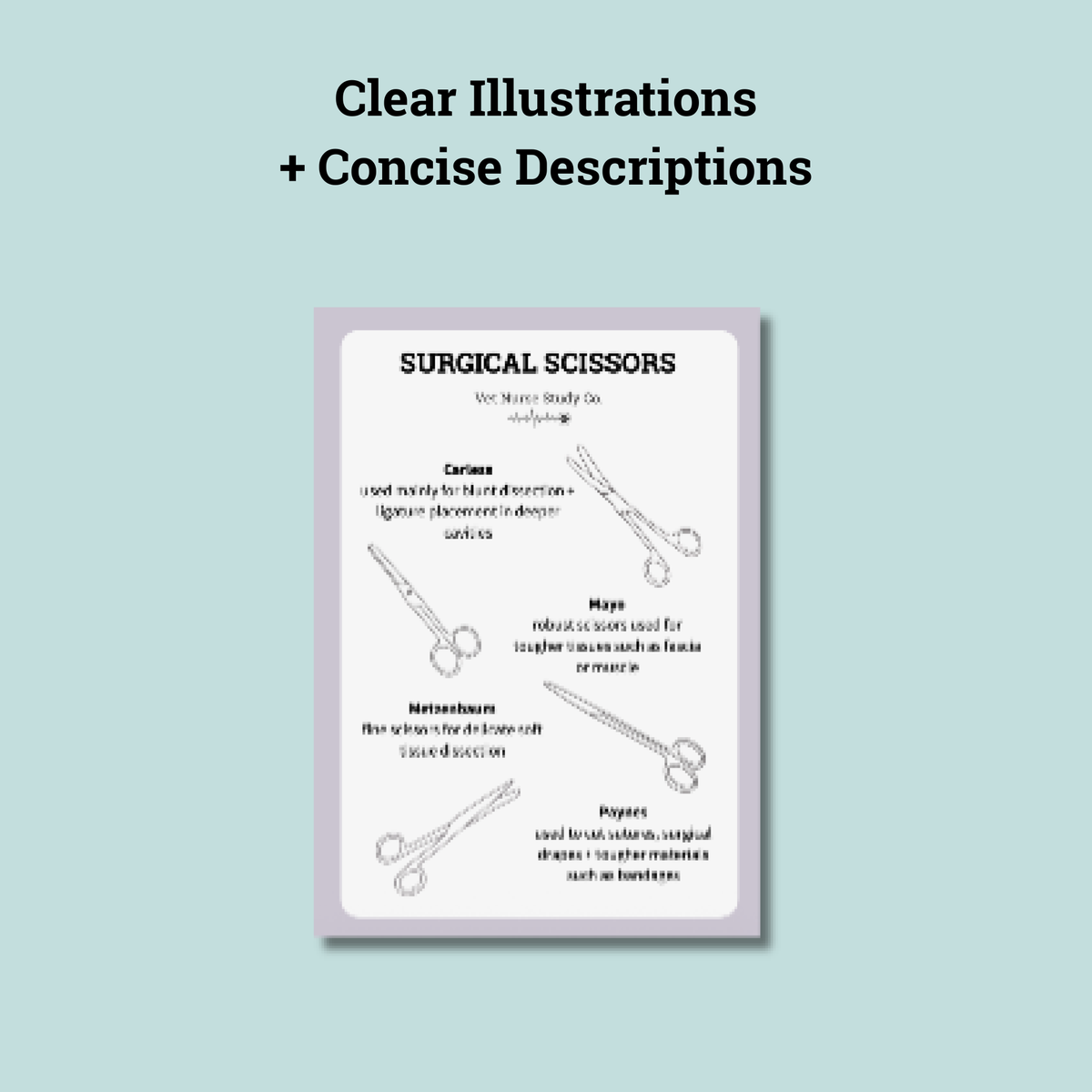 Veterinary Surgical Instruments Quick Reference Guide | Digital Download for Student + Registered Veterinary Nurses