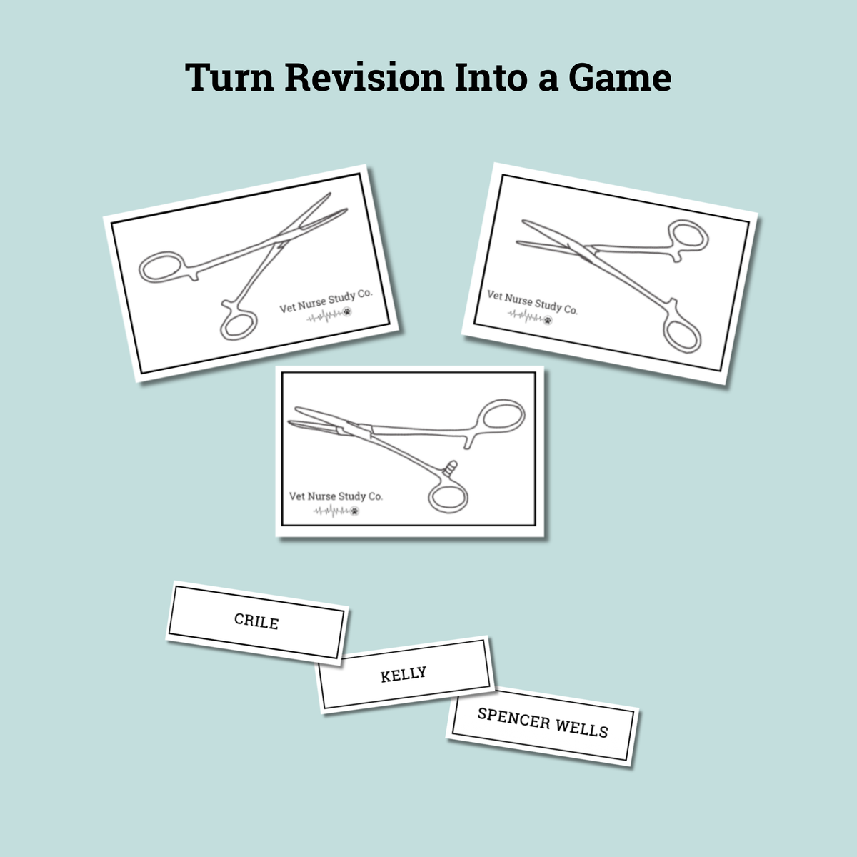 Veterinary Surgical Instruments Game 10 pages | Veterinary Nursing Revision | Instrument Identification Activity | Printable PDF