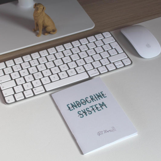 A+P: Endocrine System Guide (Physical Copy)