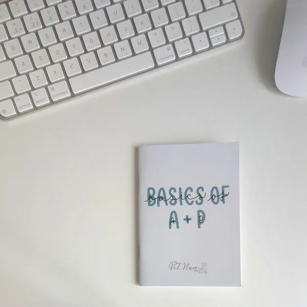 Basics of Anatomy Physiology Guide