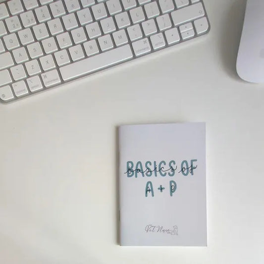 Basics of Anatomy Physiology Guide