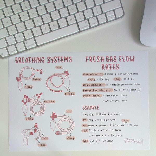 Breathing System + Fresh Gas Flow Rate Poster