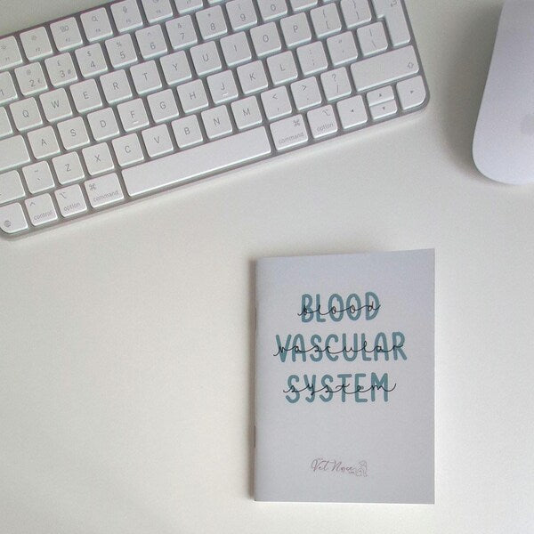 Blood Vascular System Guide