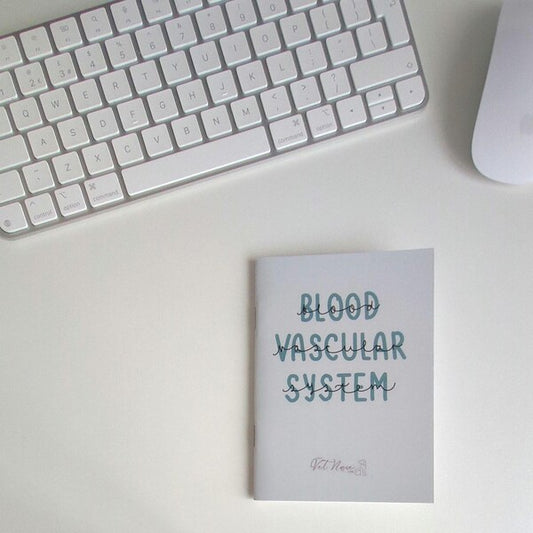 Blood Vascular System Guide