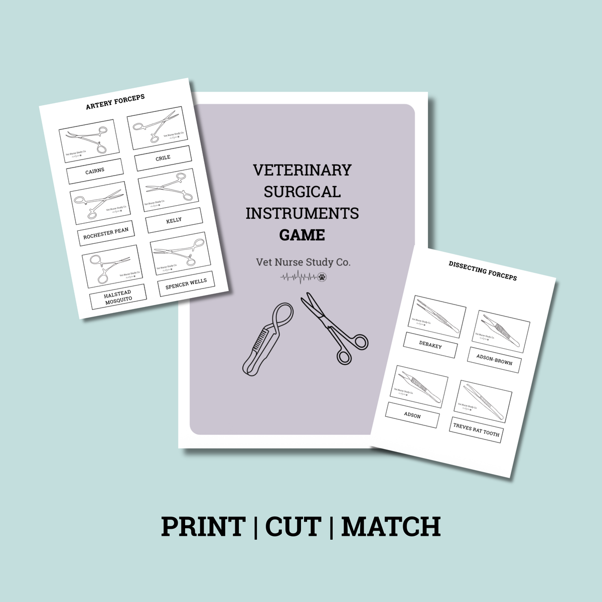 Veterinary Surgical Instruments Game 10 pages | Veterinary Nursing Revision | Instrument Identification Activity | Printable PDF