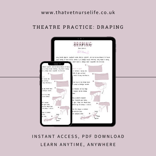 Theatre Practice: Draping (Digital Download)