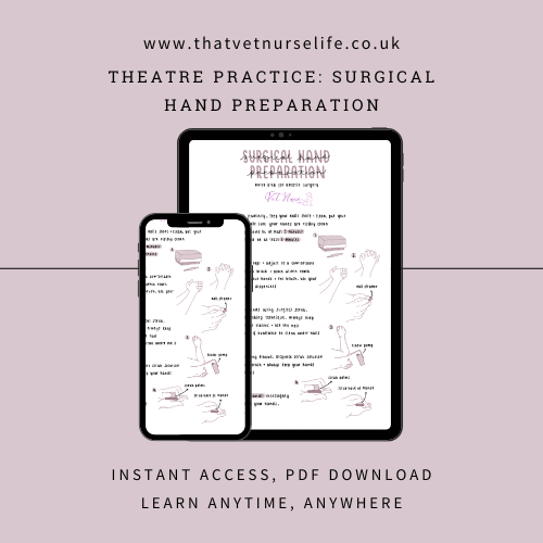 Theatre Practice: Surgical Hand Preparation (Digital Download)