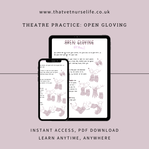 Theatre Practice: Open Gloving (Digital Download)