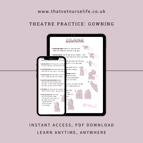 Theatre Practice: Gowning (Digital Download)