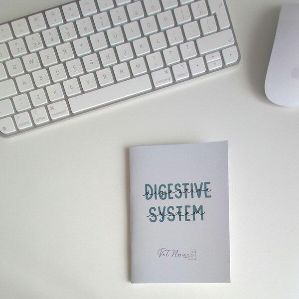 Digestive System Guide