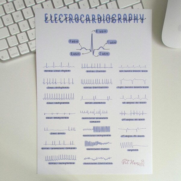 ECG Veterinary Anaesthesia A4 Poster