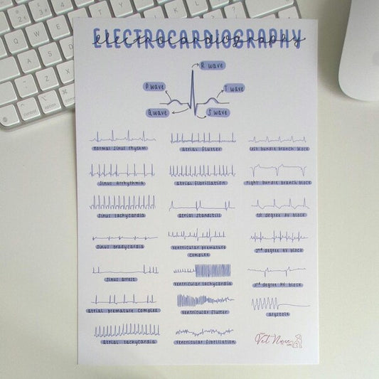 ECG Veterinary Anaesthesia A4 Poster