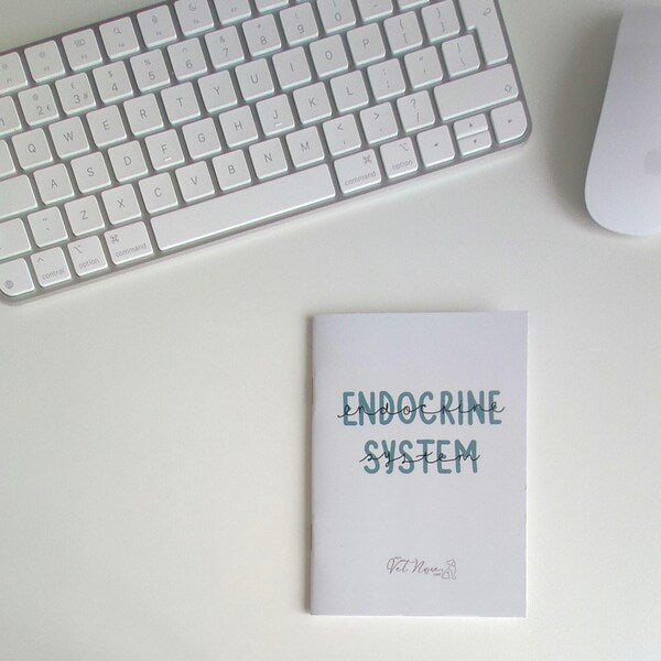 A+P: Endocrine System Guide (Physical Copy)