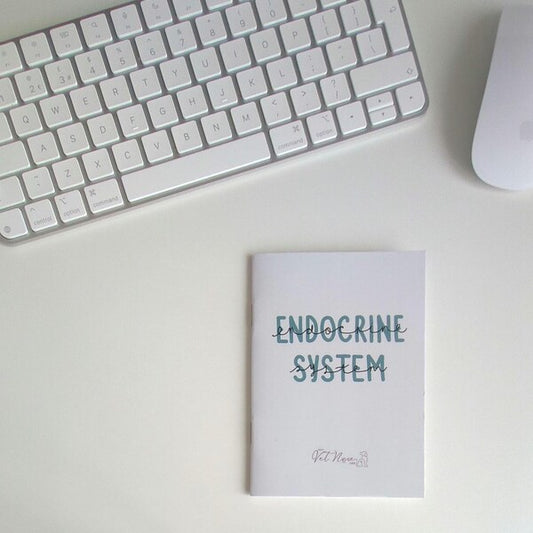 A+P: Endocrine System Guide (Physical Copy)