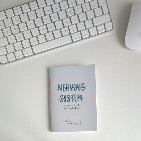 Nervous System + Special Senses Guide