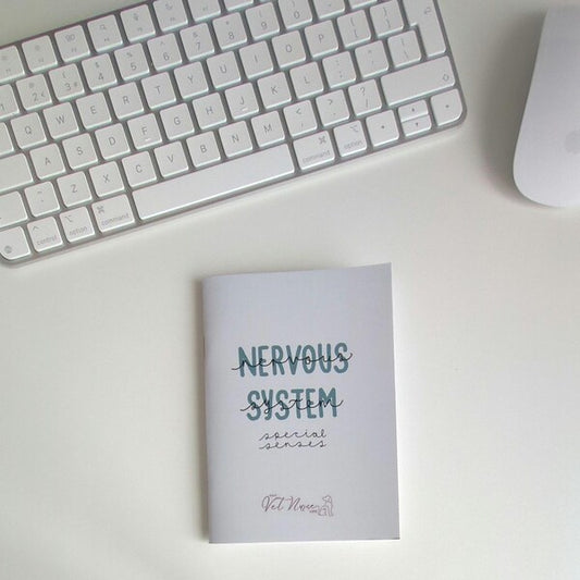 Nervous System + Special Senses Guide