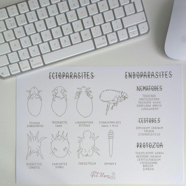 Parasites Ecto & Endoparasites Study Poster