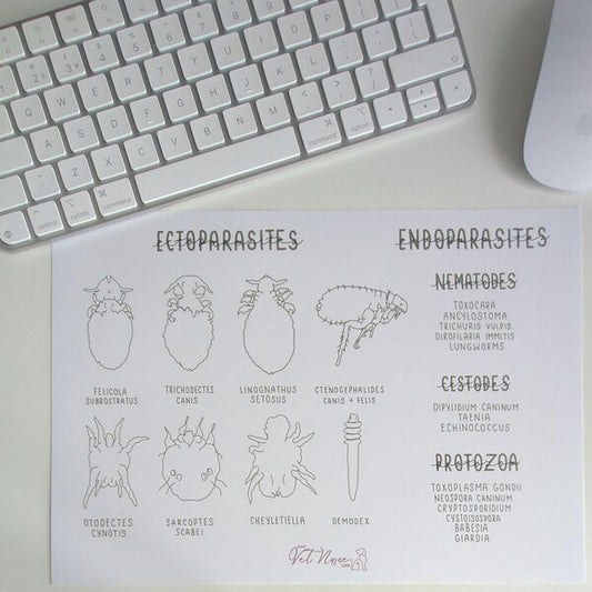 Parasites Ecto & Endoparasites Study Poster