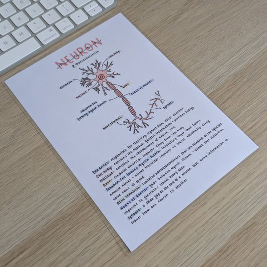 Neuron Study Poster