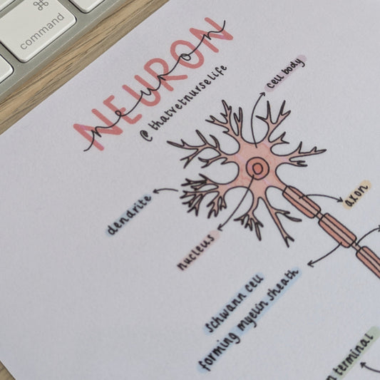 Neuron Study Poster