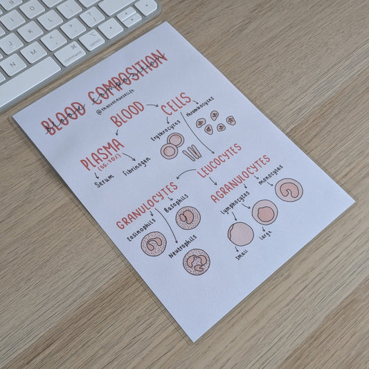 Blood Composition Poster