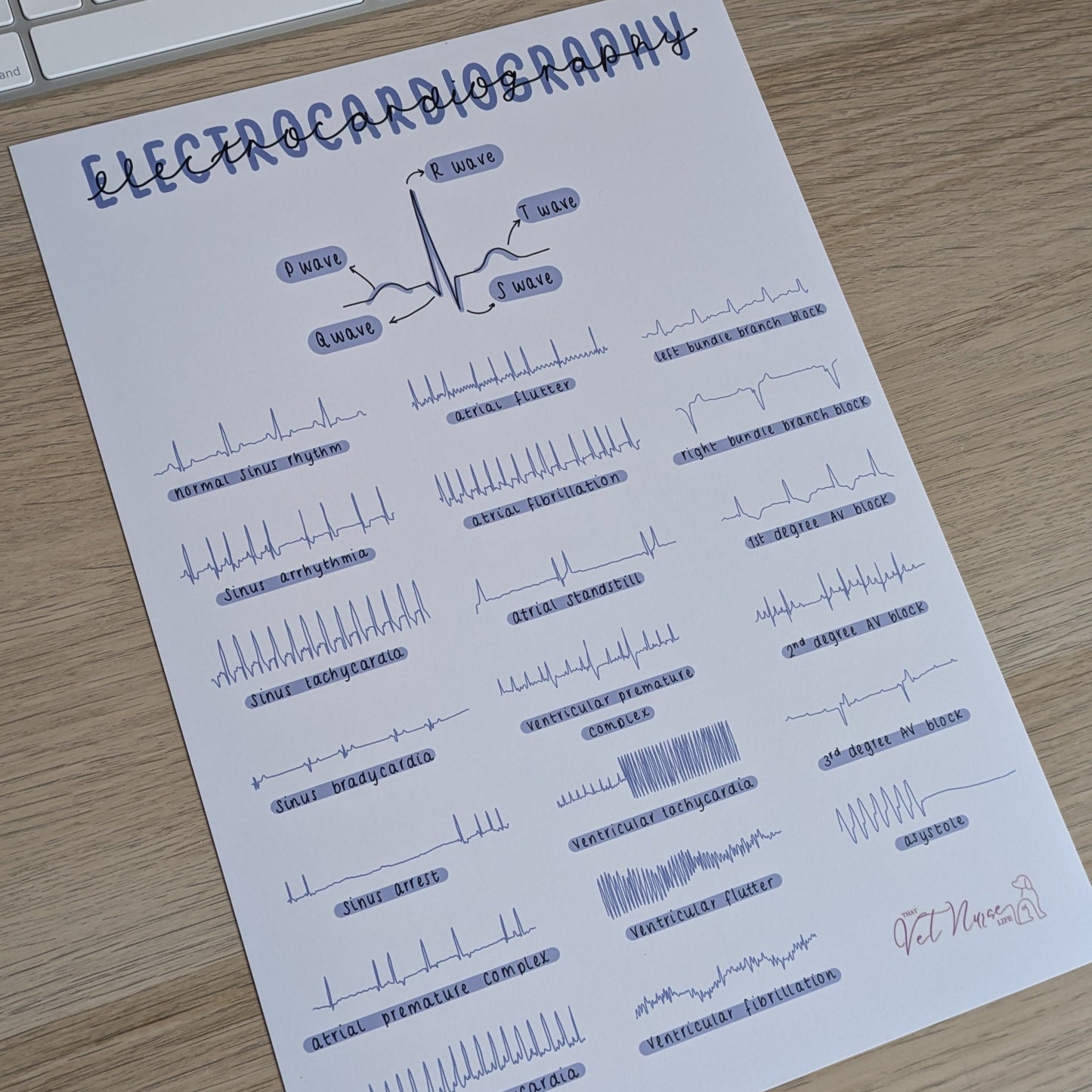 ECG Veterinary Anaesthesia A4 Poster