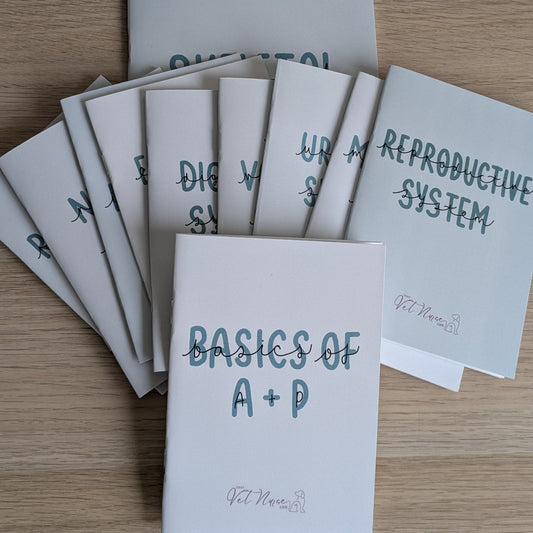 Anatomy + Physiology Systems Collection + Basics Bundle