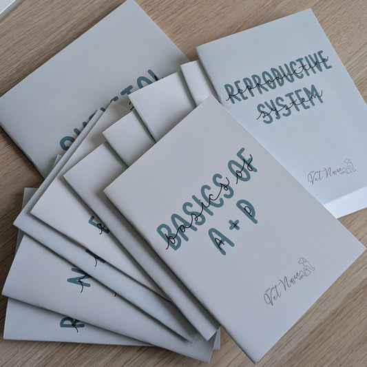 Anatomy + Physiology Systems Collection + Basics Bundle