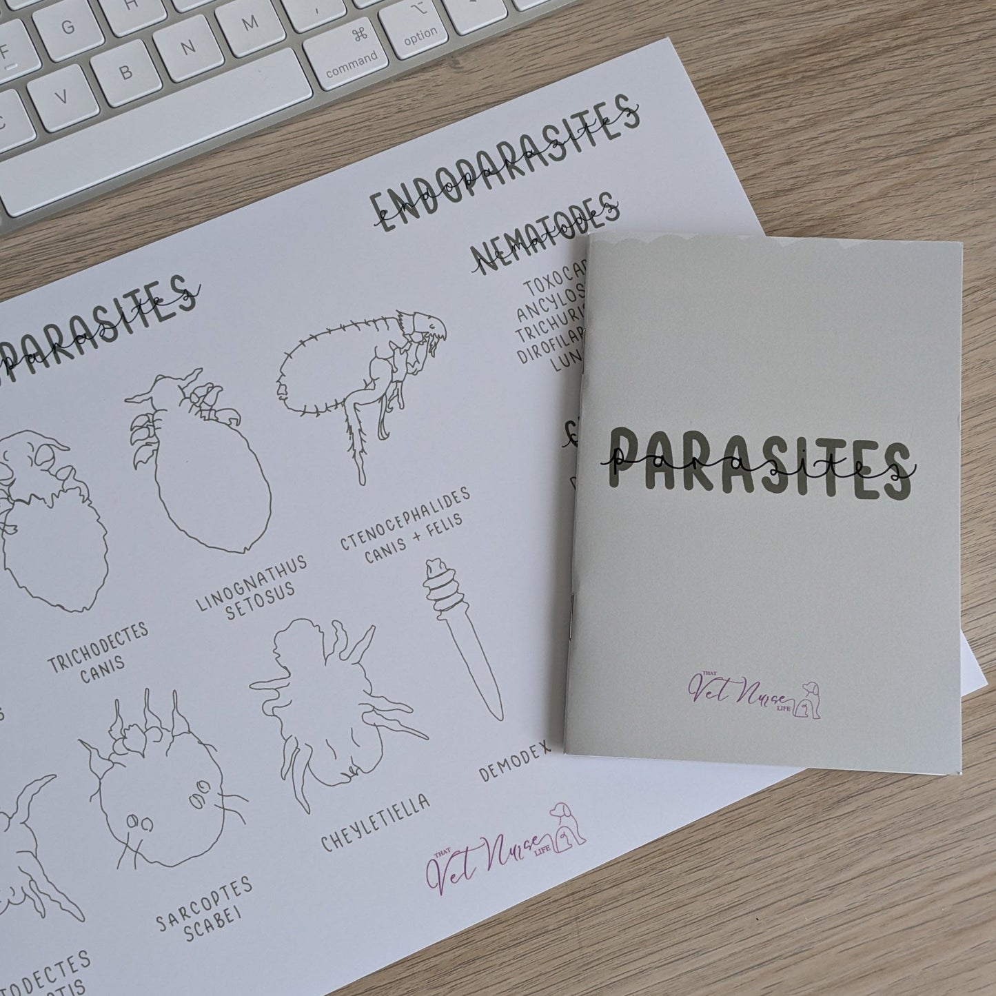 Parasite Bundle: Guide + Poster