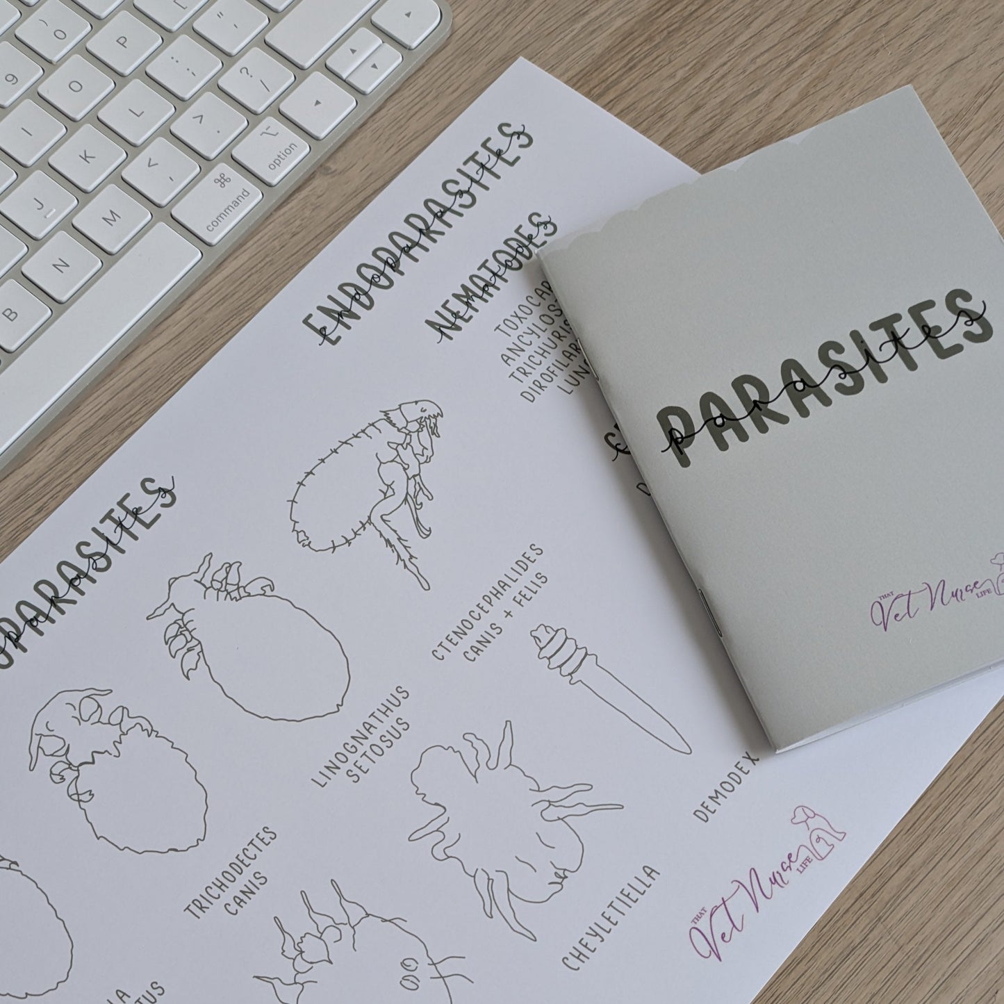 Parasite Bundle: Guide + Poster